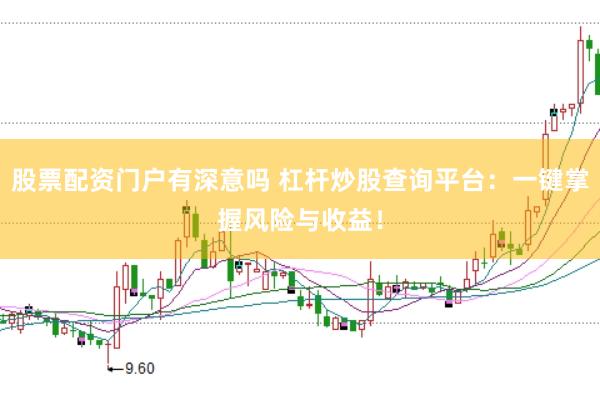 股票配资门户有深意吗 杠杆炒股查询平台：一键掌握风险与收益！