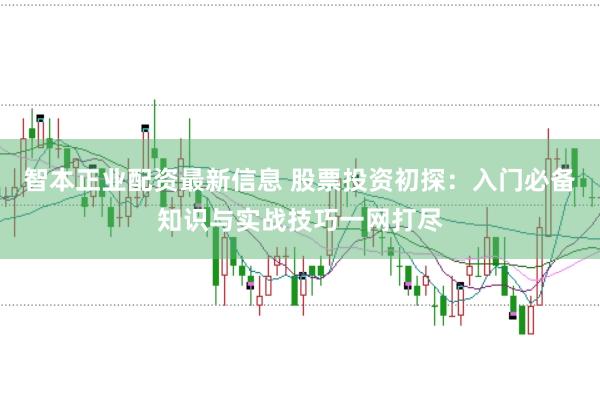 智本正业配资最新信息 股票投资初探：入门必备知识与实战技巧一网打尽