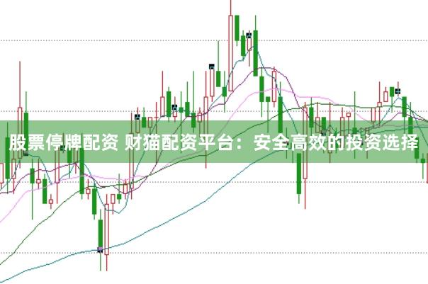 股票停牌配资 财猫配资平台：安全高效的投资选择