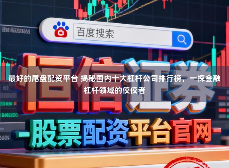 最好的尾盘配资平台 揭秘国内十大杠杆公司排行榜，一探金融杠杆领域的佼佼者